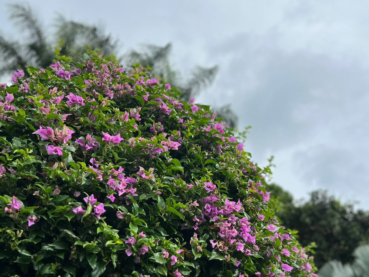 Sin título (1280 x 960 px) (10)