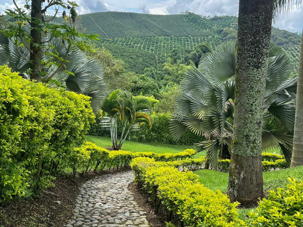 Sin título (1280 x 960 px) (4)